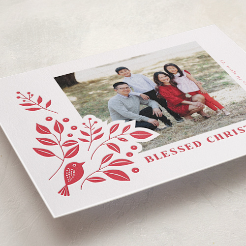 This is a poinsettia letterpress holiday cards with letterpress by Tatjana Koraksic called bird and foliage printing on bright white letterpress paper in standard