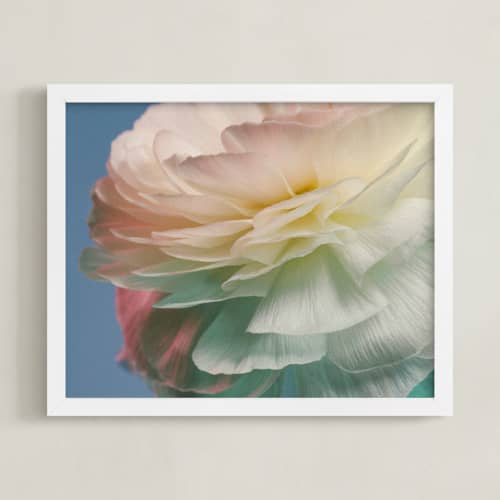 This is a blue art with standard by Elena Kulikova called delicate ranunculus flower
