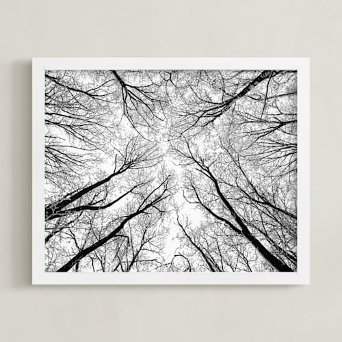 This is a black and white art with standard by Magdalena Kucova called lost in the forest