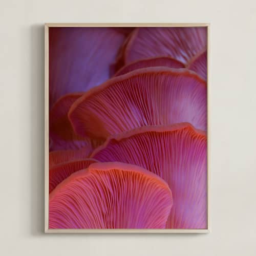 This is a dreamy pink violet art with standard by Elena Kulikova called pink oyster mushrooms