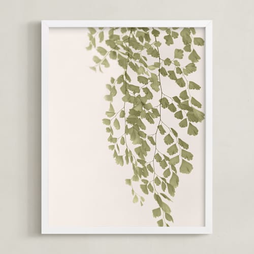 This is a olive branch art with standard by Eliane Lamb called softness
