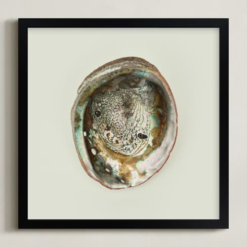 This is a natural art with standard by Field and Sky called abalone shell