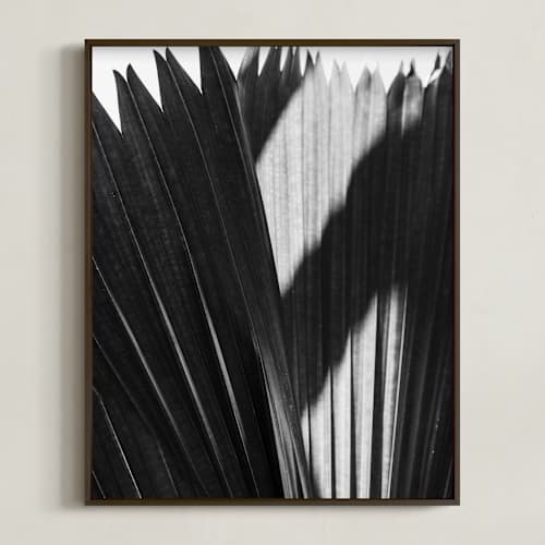 This is a black and white art with standard by Catherine Culvenor called palmery 2