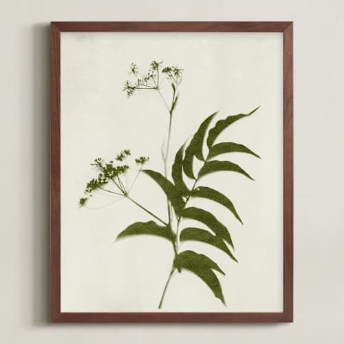 This is a verdant art with standard by Kamala Nahas called foraged iii