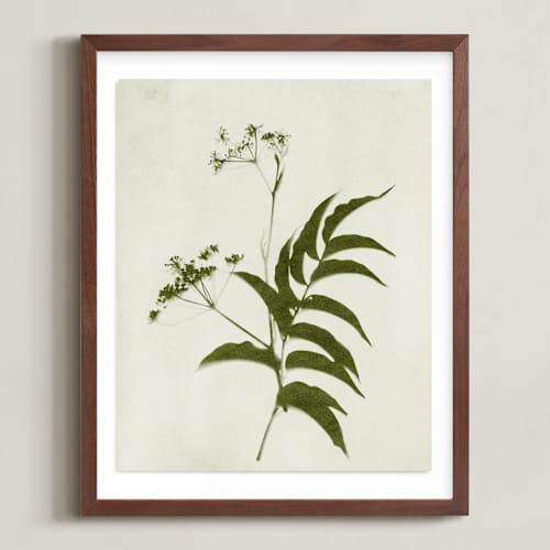 This is a verdant art with standard by Kamala Nahas called foraged iii