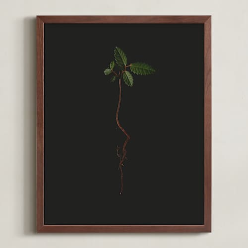 This is a deep elm art with standard by Andrew McClintock called seedling elm i