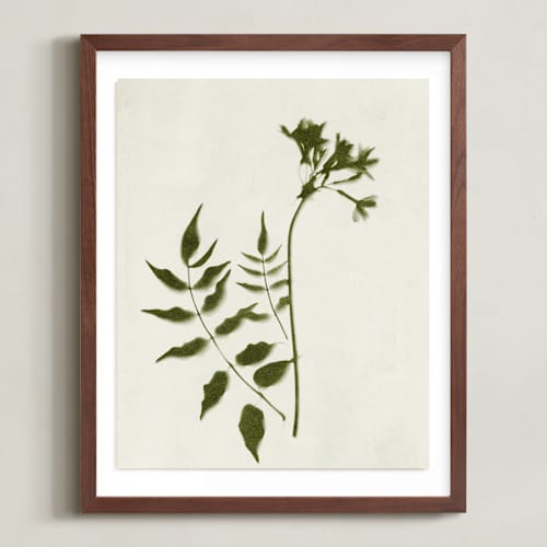 This is a verdant art with standard by Kamala Nahas called foraged ii