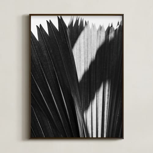 This is a black and white art with standard by Catherine Culvenor called palmery 2