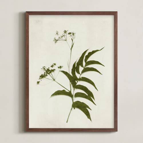 This is a verdant art with standard by Kamala Nahas called foraged iii