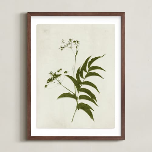 This is a verdant art with standard by Kamala Nahas called foraged iii