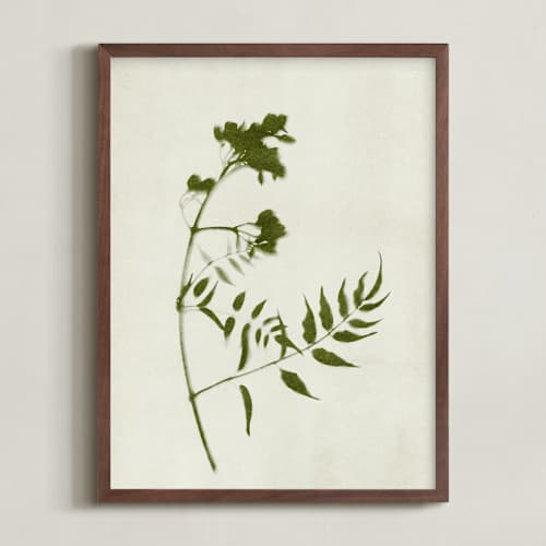 This is a verdant art with standard by Kamala Nahas called foraged i