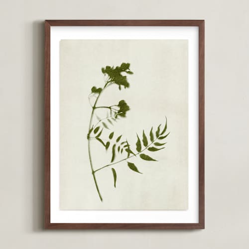 This is a verdant art with standard by Kamala Nahas called foraged i