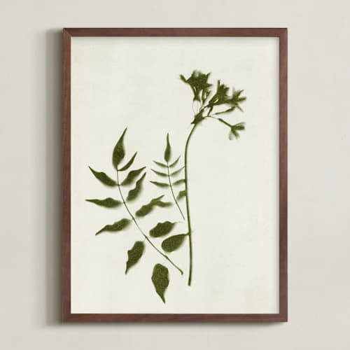 This is a verdant art with standard by Kamala Nahas called foraged ii
