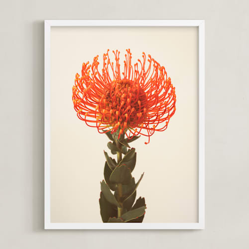 This is a tangerine art with standard by Kamala Nahas called protea i