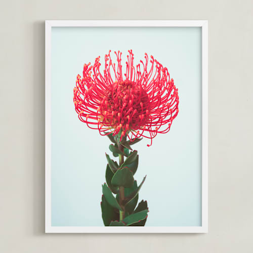 This is a passion art with standard by Kamala Nahas called protea i