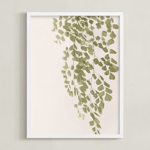 This is a olive branch art with standard by Eliane Lamb called softness