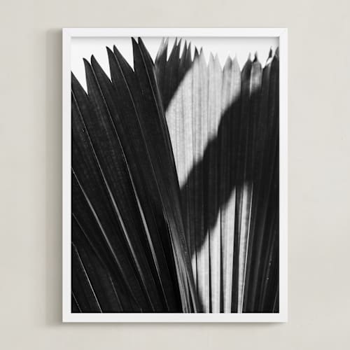 This is a black and white art with standard by Catherine Culvenor called palmery 2