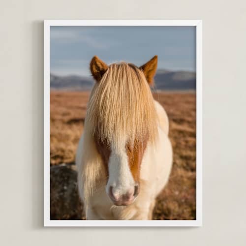 This is a golden art with standard by Crystal Lynn Collins called icelandic horses i