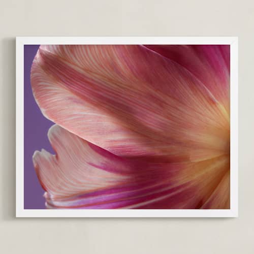 This is a lilac art with standard by Elena Kulikova called parrot tulip