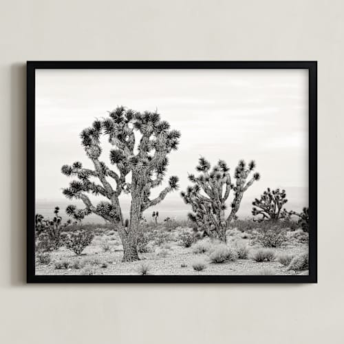 This is a joshua tree gray art with standard by Kristi Jackson called joshua tree