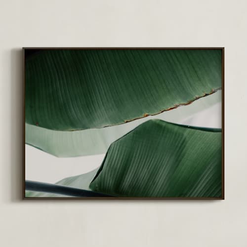 This is a white art with standard by Alicia Abla called leaf & light 4