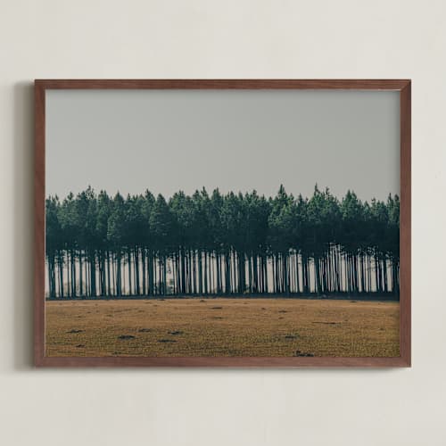 This is a pine art with standard by Zani van Zyl called moody trees