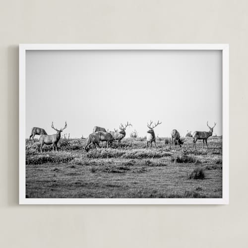 This is a black and white art with standard by Crystal Lynn Collins called tule elk
