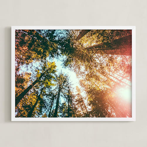 This is a forest green art with standard by Elena Kulikova called redwoods surround me