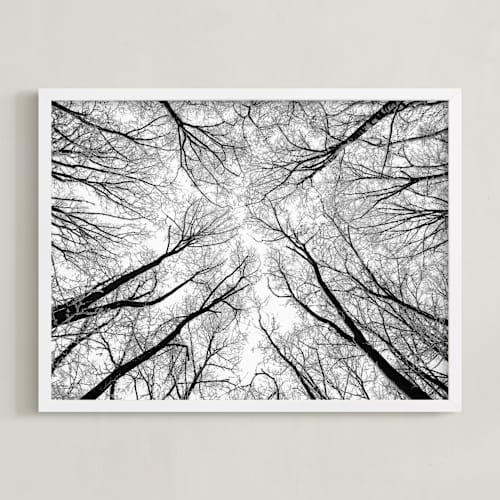 This is a black and white art with standard by Magdalena Kucova called lost in the forest