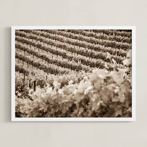 This is a warm sepia art with standard by Shannon Howard called vineyard seasons - june, no. 1