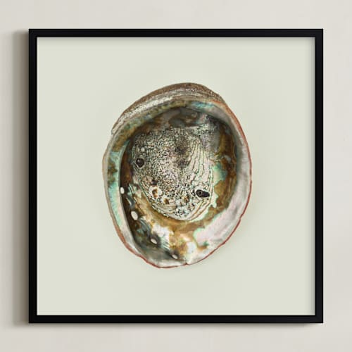 This is a natural art with standard by Field and Sky called abalone shell