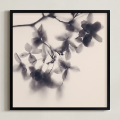 This is a soft pink art with standard by Karen Kardatzke called veiled petals