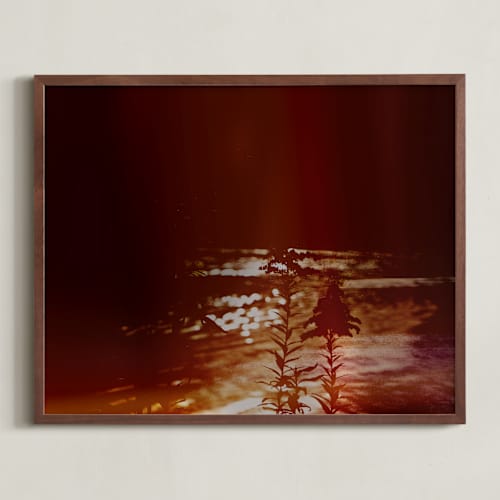 This is a coffee art with standard by Lindsay Megahed called illusive