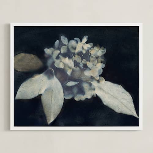 This is a midnight art with standard by Courtney Crane called hortensia