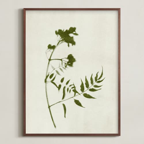 This is a verdant art with standard by Kamala Nahas called foraged i