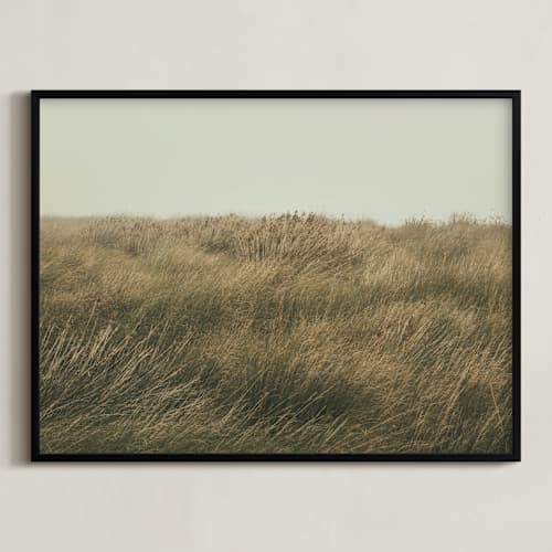 This is a evergreen art with standard by Lucia Coppola called immerse