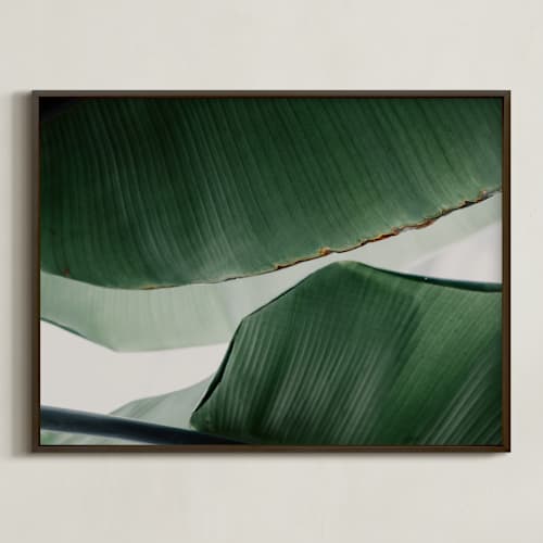 This is a white art with standard by Alicia Abla called leaf & light 4