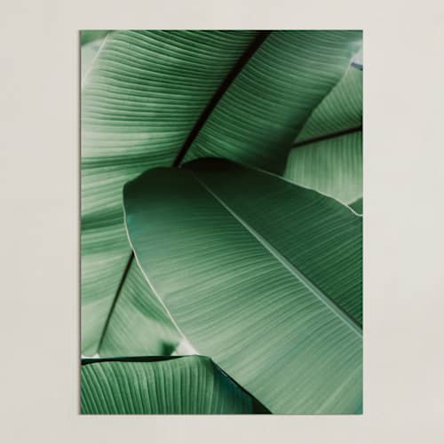 This is a white art with standard by Alicia Abla called tropical leaves