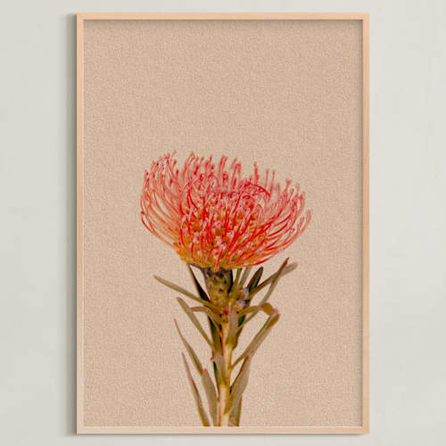 This is a clay art with standard by Paola Benenati called protea collection 1