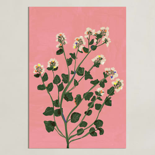 This is a spring pink art with standard by Joanna Rosado called meadow beauty