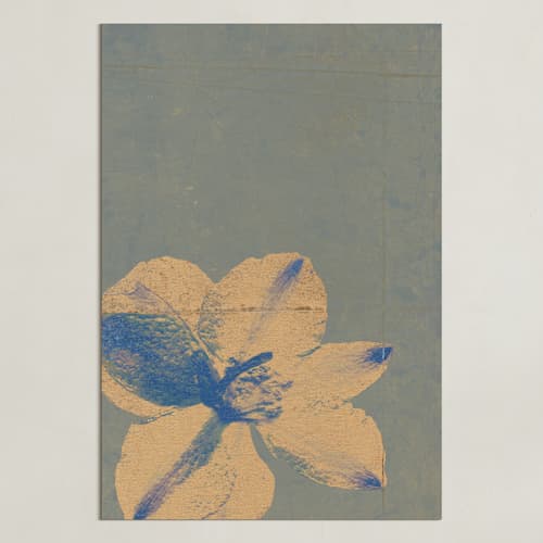 This is a eucalyptus art with standard by Paola Benenati called reframed nature 1