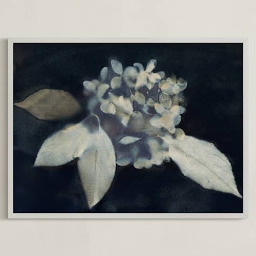 This is a midnight art with standard by Courtney Crane called hortensia