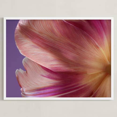 This is a lilac art with standard by Elena Kulikova called parrot tulip