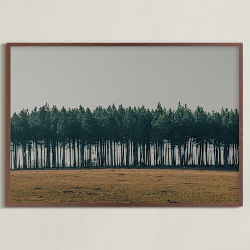 This is a pine art with standard by Zani van Zyl called moody trees