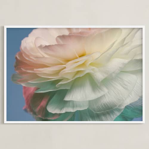 This is a blue art with standard by Elena Kulikova called delicate ranunculus flower