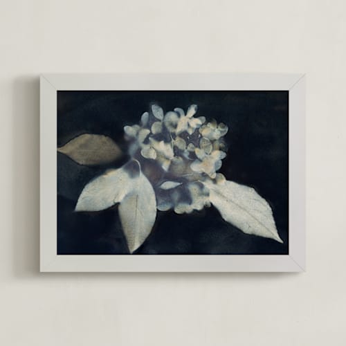 This is a midnight art with standard by Courtney Crane called hortensia