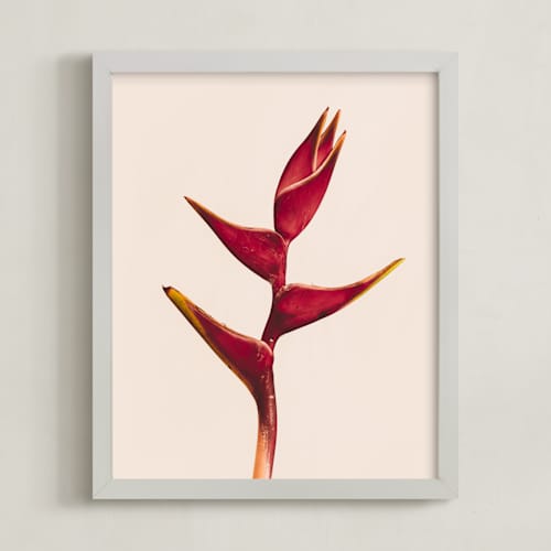 This is a heliconia art with standard by Kamala Nahas called heliconia 3