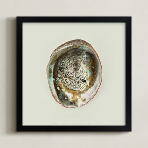 This is a natural art with standard by Field and Sky called abalone shell