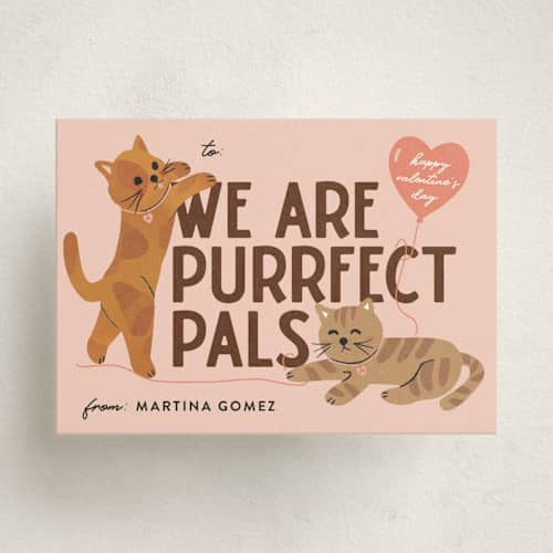 This is a peach kids valentines day cards with standard by Jennifer Lew called purrfect pals printing on signature in standard
