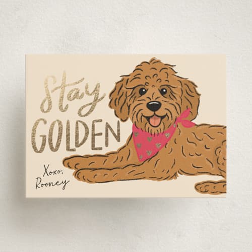 This is a bubblegum kids valentines day cards with foil pressed by Lauren Jinhee called stay golden printing on signature in standard